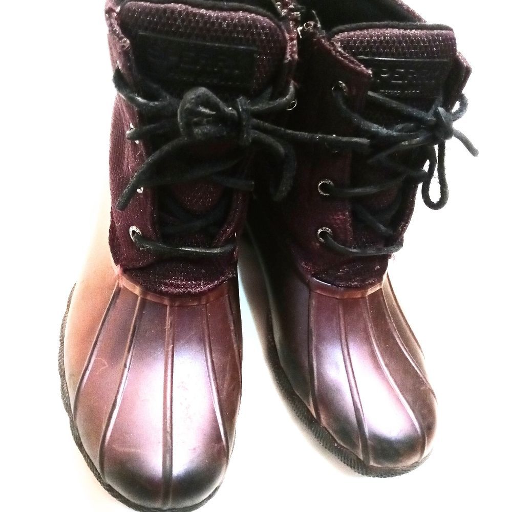 Sperry Holographic Boots